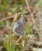 287355 – Photo : Catherine Reymonet-Smitten – France (11)